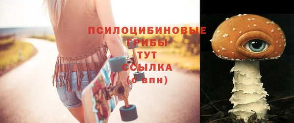 МДПВ Алзамай