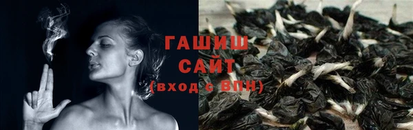 хмурый Алексин