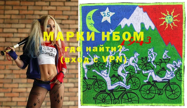 хмурый Алексин