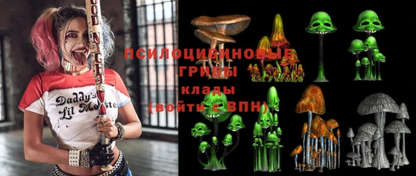 хмурый Алексин