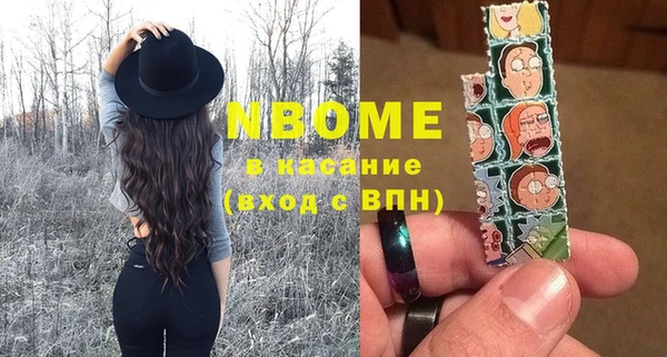 хмурый Алексин